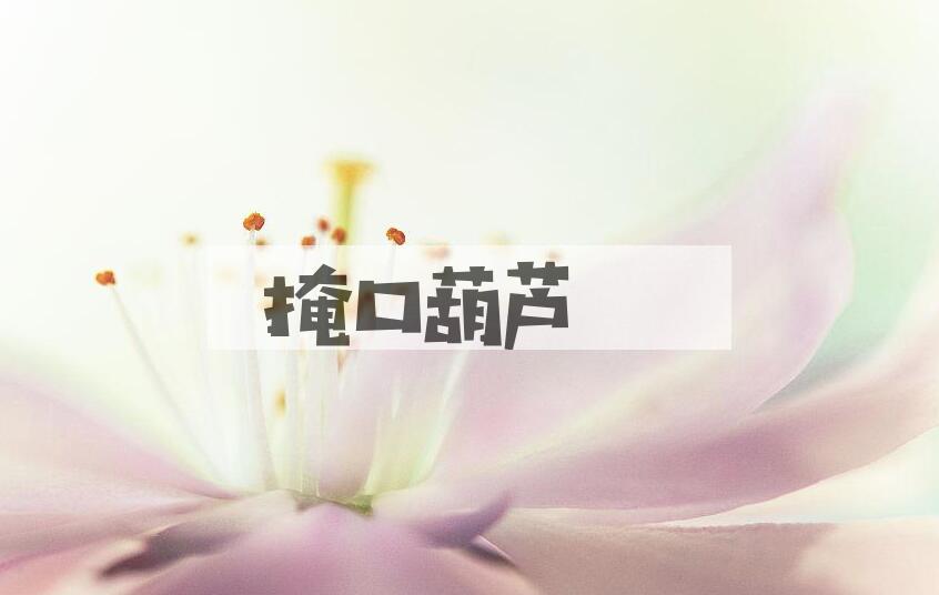成语掩口葫芦是什么意思？
