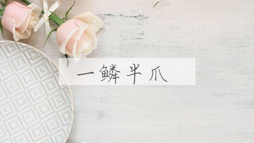 成语一鳞半爪是什么意思？