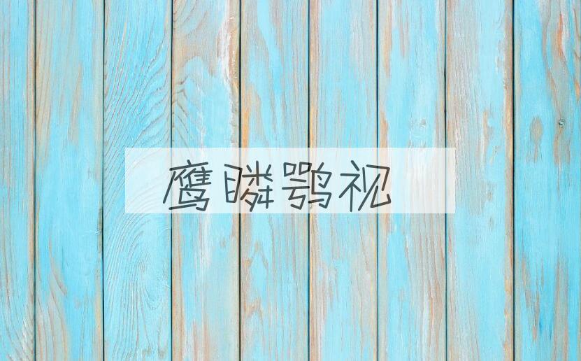 成语鹰瞵鹗视是什么意思？