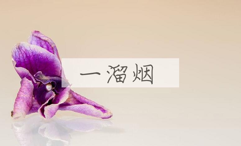 成语一溜烟是什么意思？