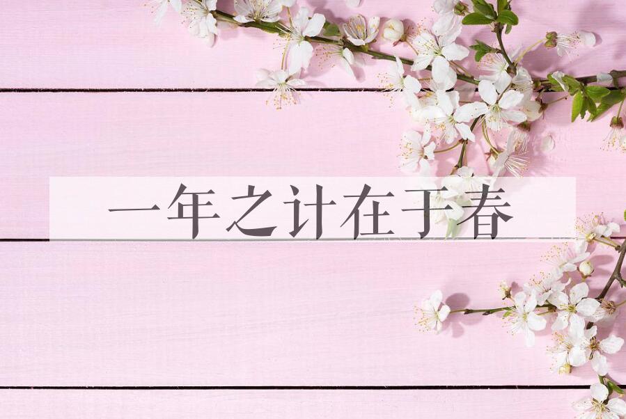 成语一年之计在于春是什么意思？