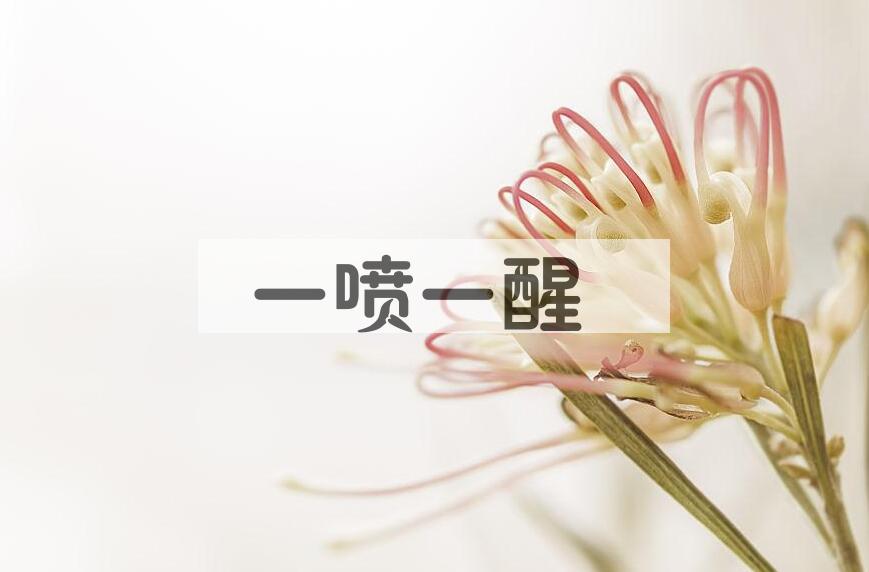 成语一喷一醒是什么意思？