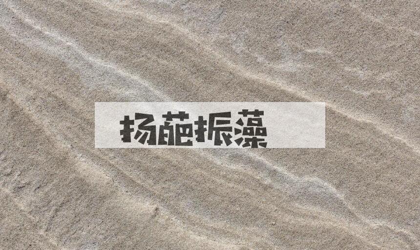 成语扬葩振藻是什么意思？