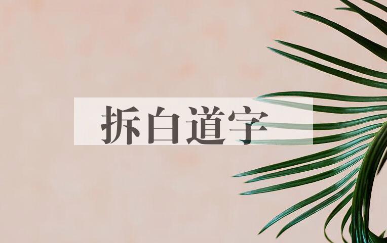 成语拆白道字是什么意思？