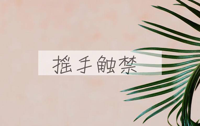 成语摇手触禁是什么意思？