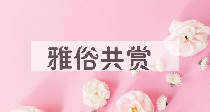 成语雅俗共赏是什么意思？
