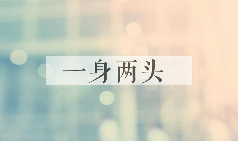 成语一身两头是什么意思？