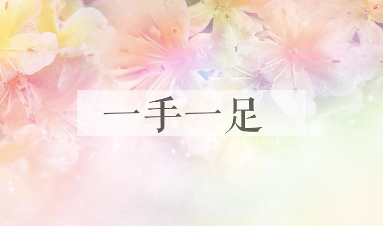 成语一手一足是什么意思？