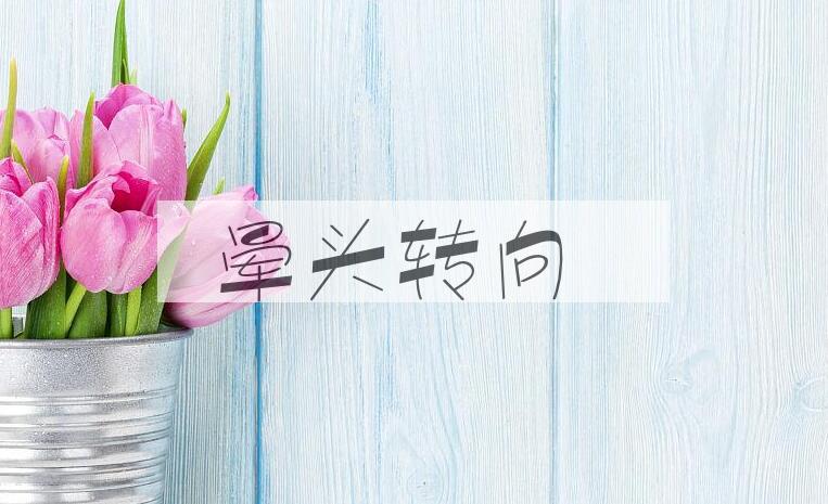成语晕头转向是什么意思？