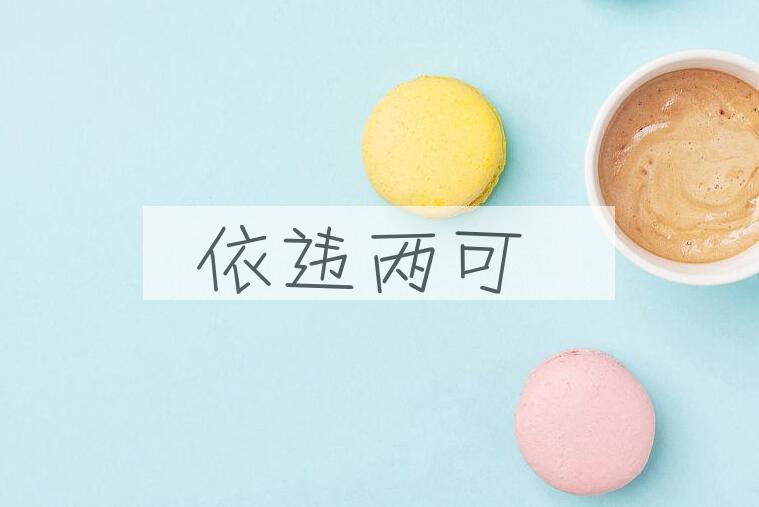 成语依违两可是什么意思？