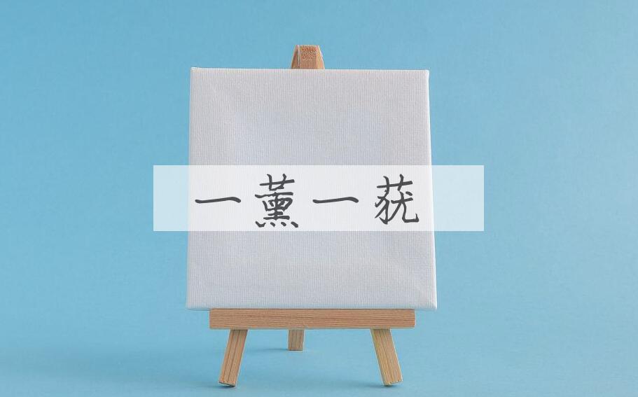 成语一薰一莸是什么意思？