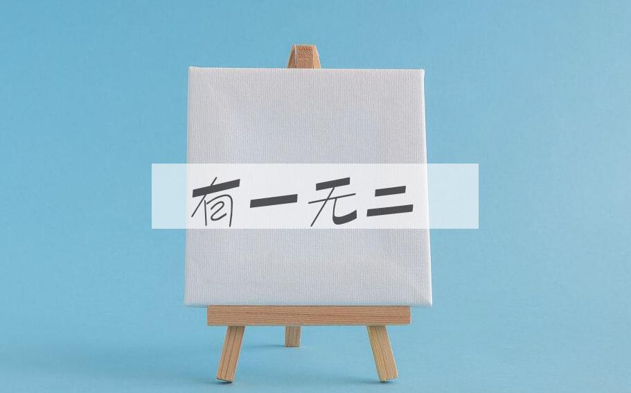 成语有一无二是什么意思？
