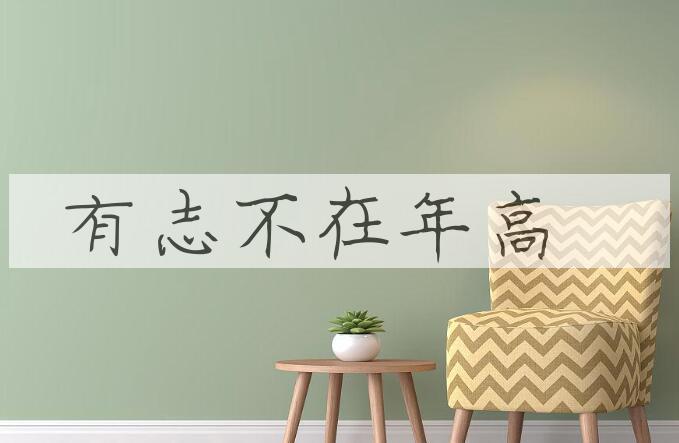 成语有志不在年高是什么意思？