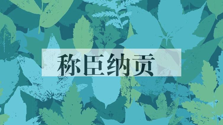 成语称臣纳贡是什么意思？