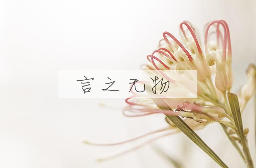 成语言之无物是什么意思？