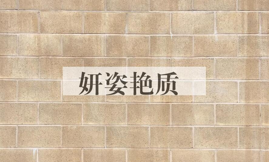 成语妍姿艳质是什么意思？