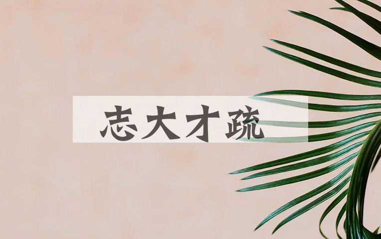 成语志大才疏是什么意思？