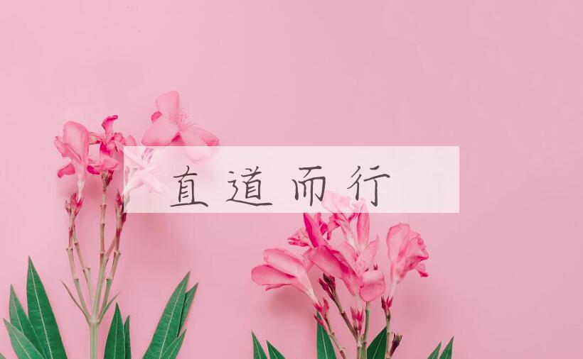 成语直道而行是什么意思？