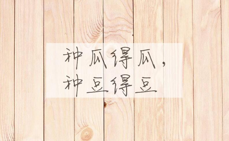 成语种瓜得瓜，种豆得豆是什么意思？