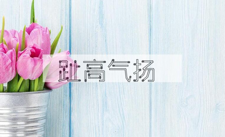 成语趾高气扬是什么意思？
