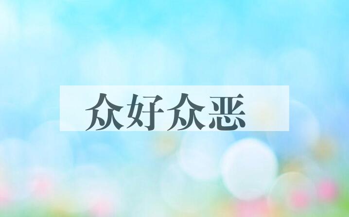 成语众好众恶是什么意思？