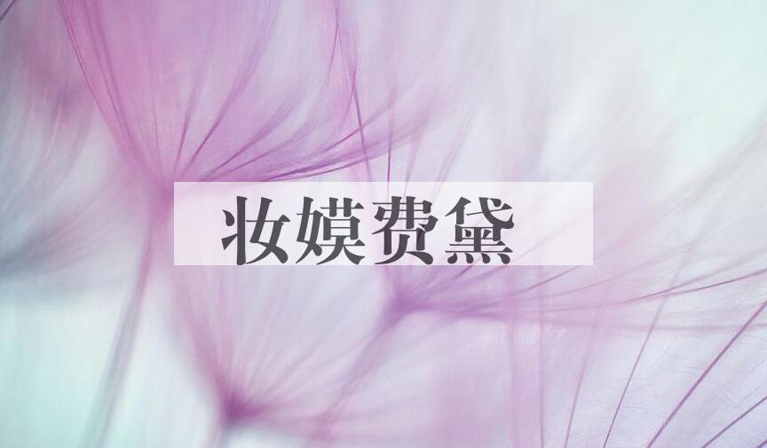 成语妆嫫费黛是什么意思？