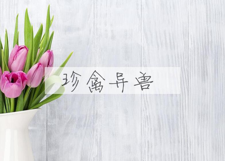 成语珍禽异兽是什么意思？
