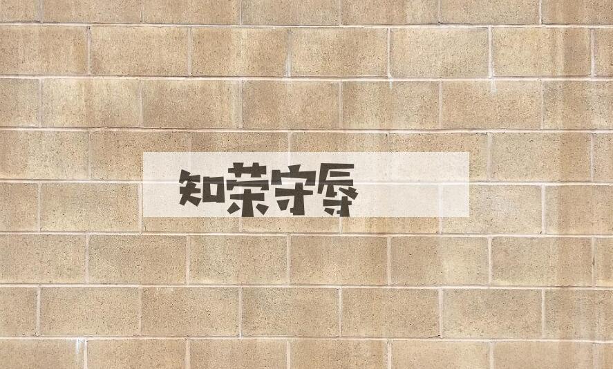 成语知荣守辱是什么意思？