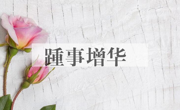 成语踵事增华是什么意思？