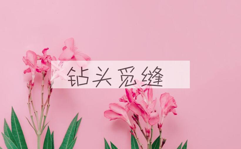 成语钻头觅缝是什么意思？