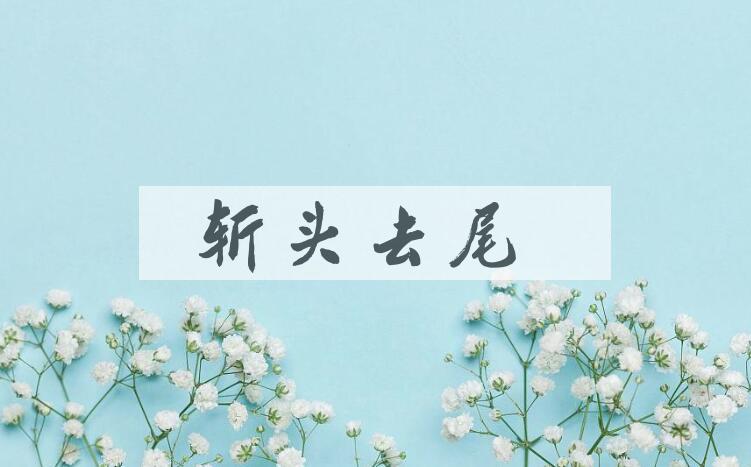 成语斩头去尾是什么意思？