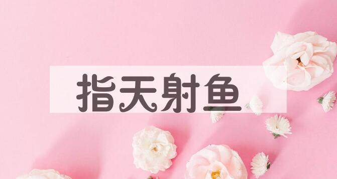 成语指天射鱼是什么意思？