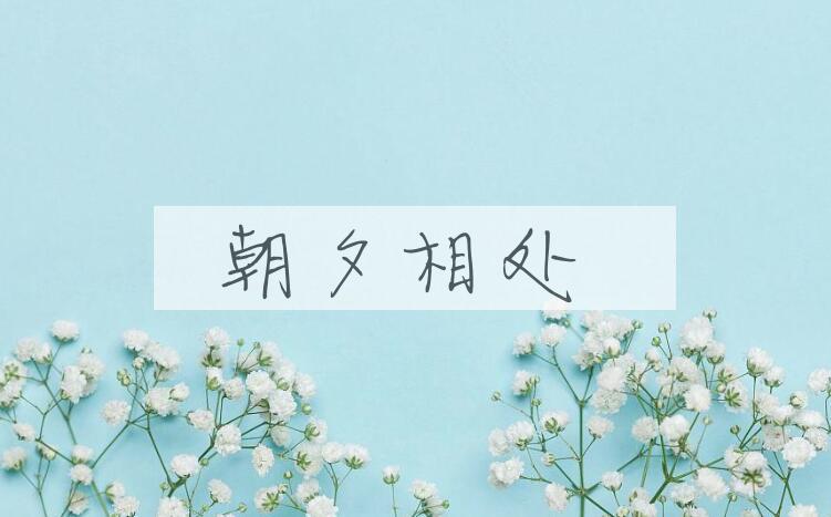 成语朝夕相处是什么意思？