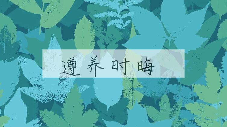 成语遵养时晦是什么意思？