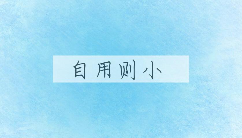 成语自用则小是什么意思？