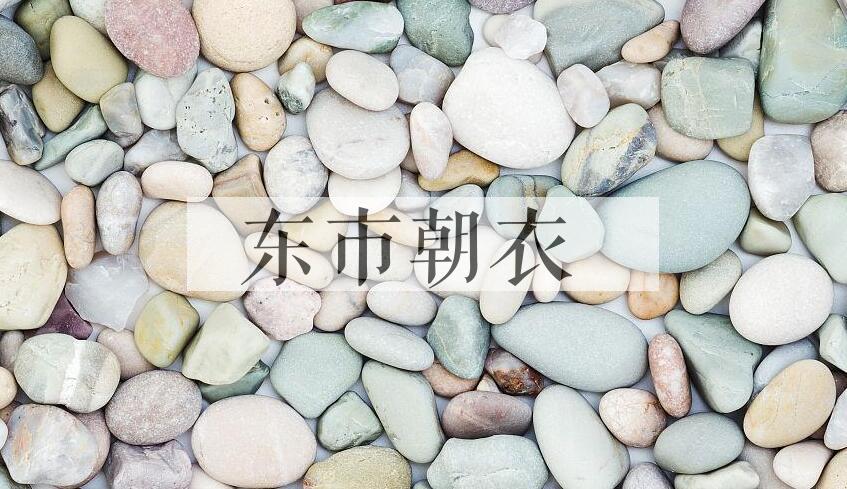 成语东市朝衣是什么意思？