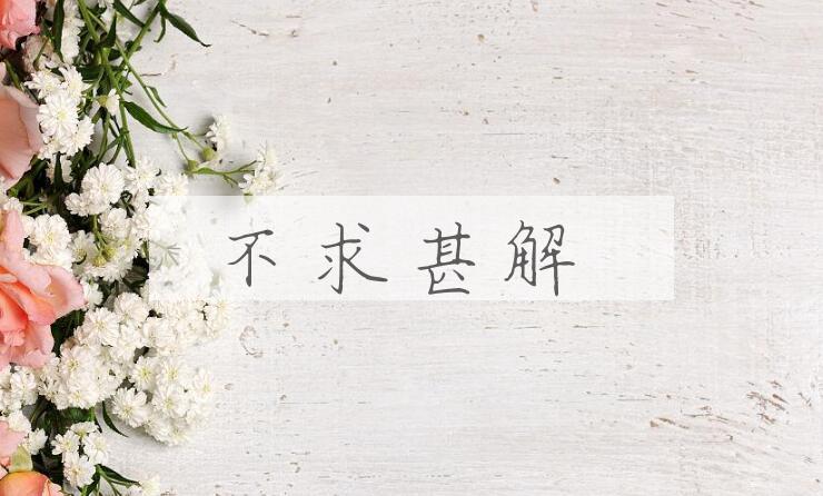 成语不求甚解是什么意思？