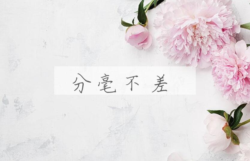 成语分毫不差是什么意思？