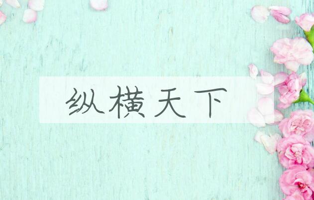 成语纵横天下是什么意思？