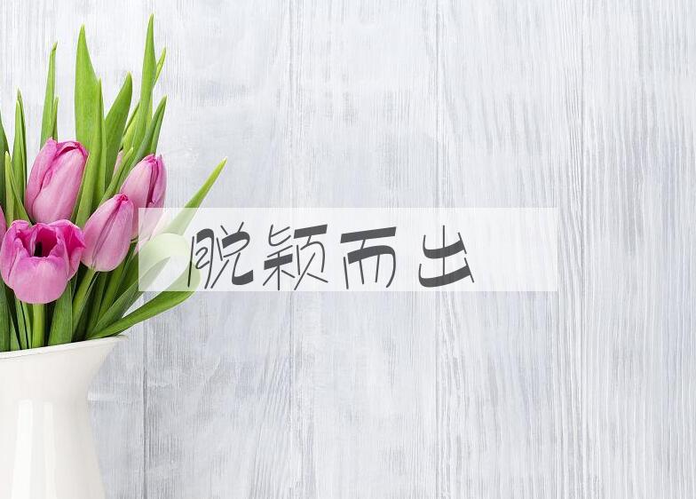 成语脱颖而出是什么意思？