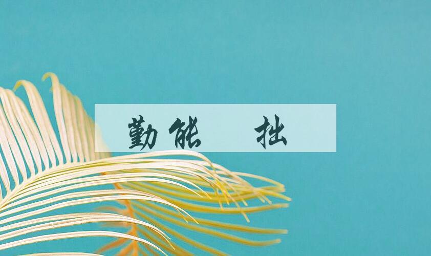 成语勤能補拙是什么意思？