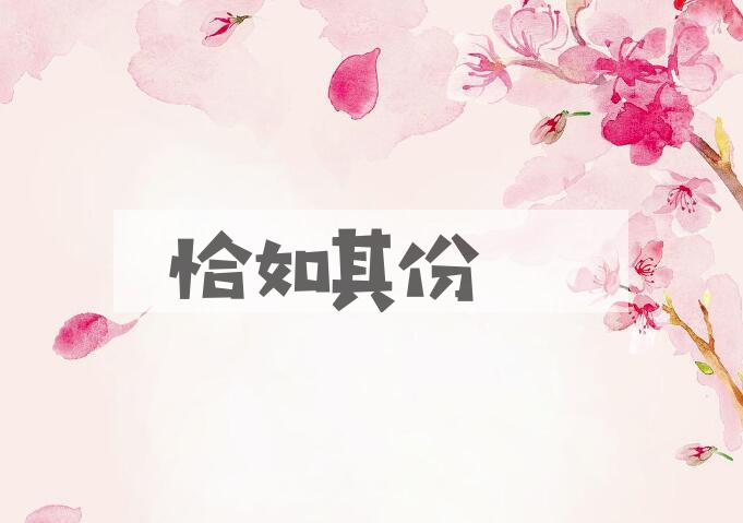 成语恰如其份是什么意思？