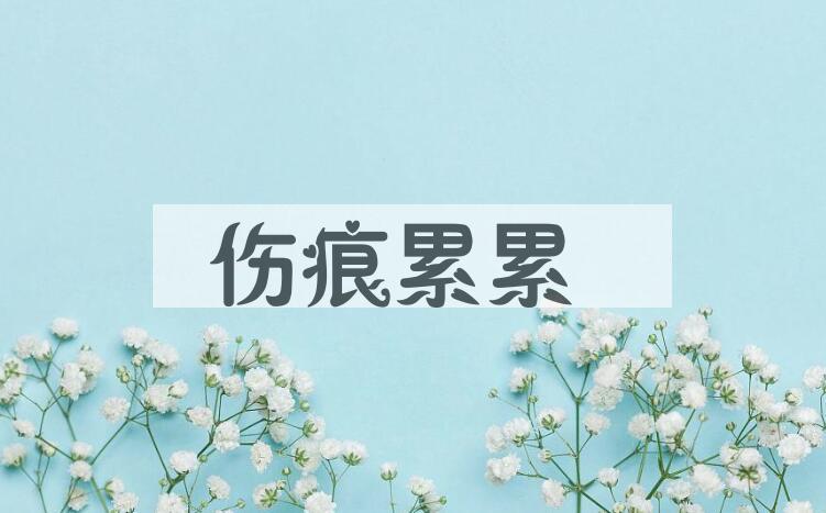 成语伤痕累累是什么意思？