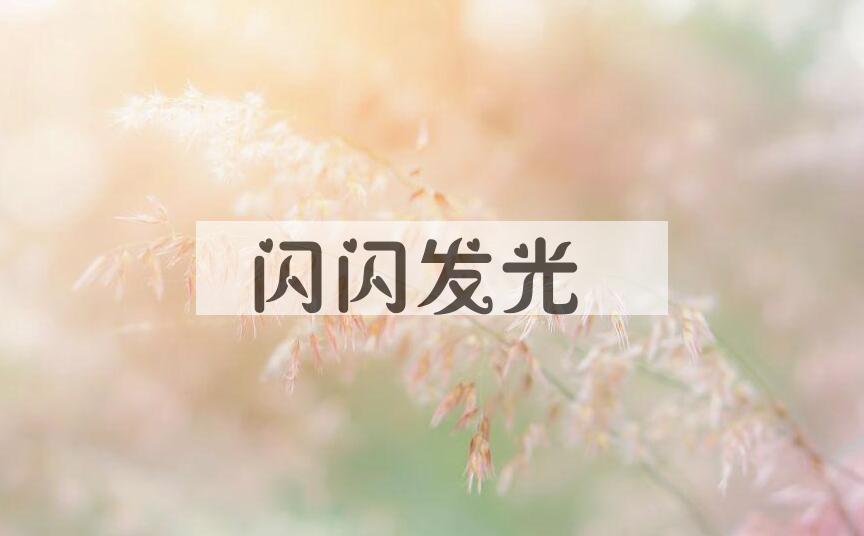 成语闪闪发光是什么意思？