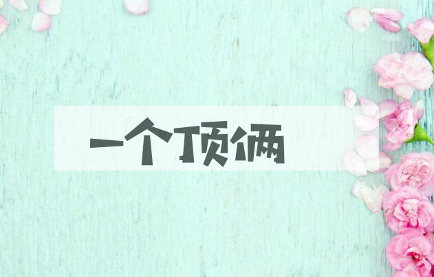 成语一个顶俩是什么意思？