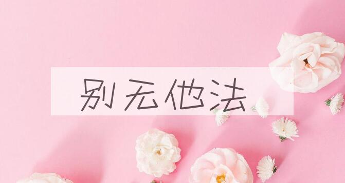 成语别无他法是什么意思？