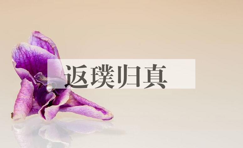 成语返璞归真是什么意思？