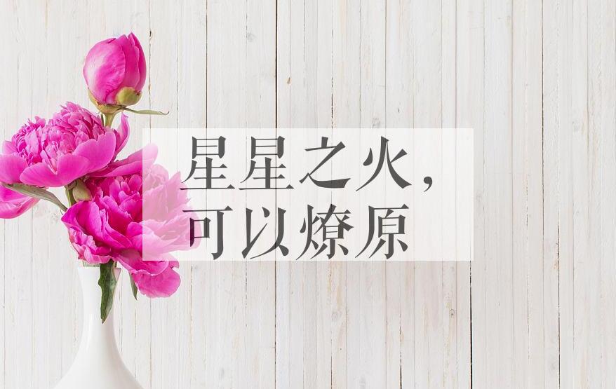 成语星星之火，可以燎原是什么意思？