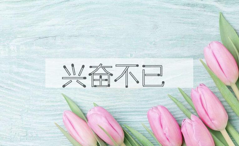 成语兴奋不已是什么意思？