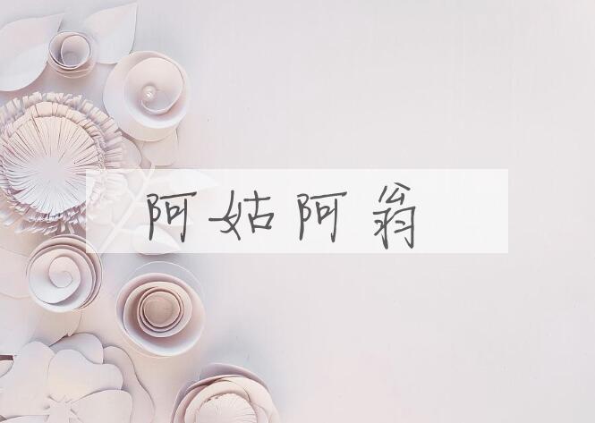 成语阿姑阿翁是什么意思？
